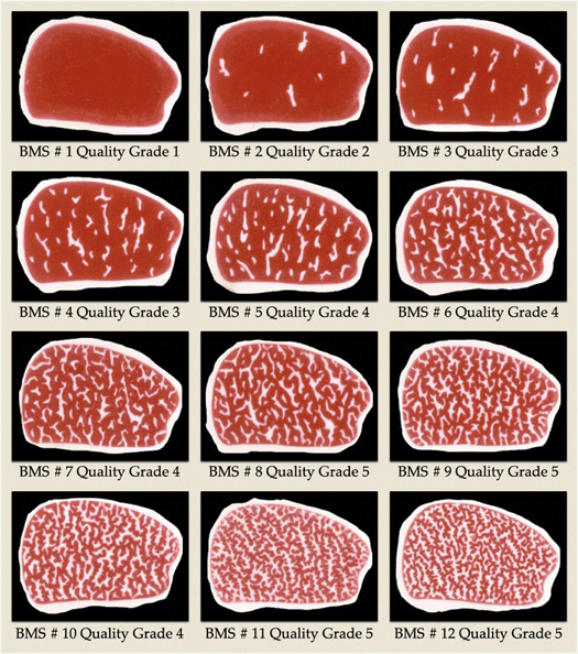 What Is Wagyu Beef? (Grades, Breeds, Types), 43% OFF